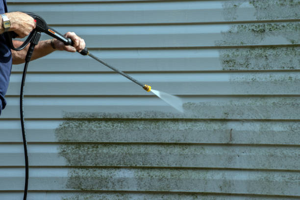 Best Window and Screen Pressure Cleaning in Olmos Park, TX